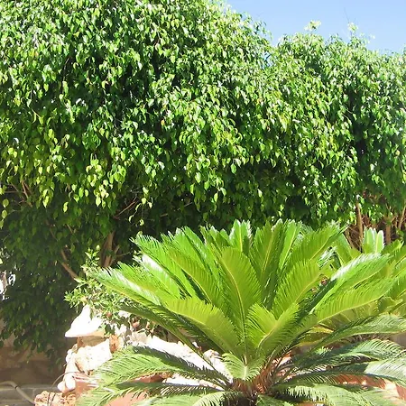 Aiolos * Naousa (Paros)