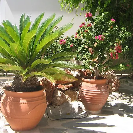 Aparthotel Aiolos