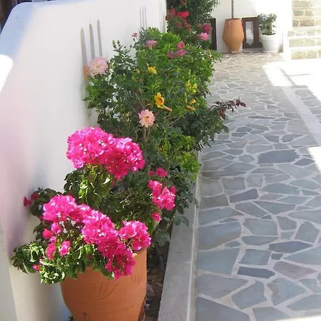 Aiolos Aparthotel Naousa (Paros)