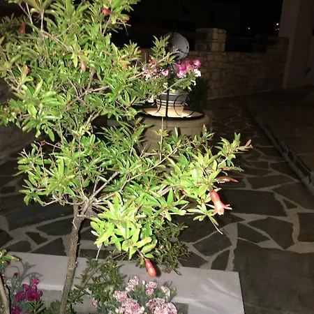 Aiolos Aparthotel *